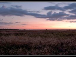 IMGP2879-Aftenstemning-over-Kongenshus